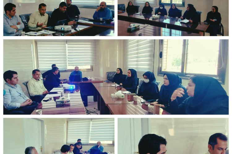 برگزاری تمرین دورمیزی حمله سایبری در بیمارستان بوعلی چادگان